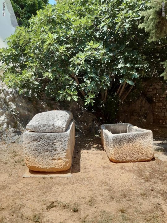 184.jpg