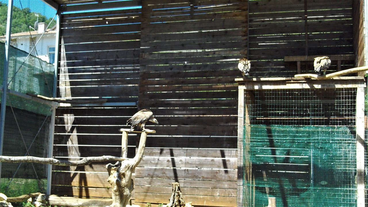 19 Beli Insel Cres.JPG