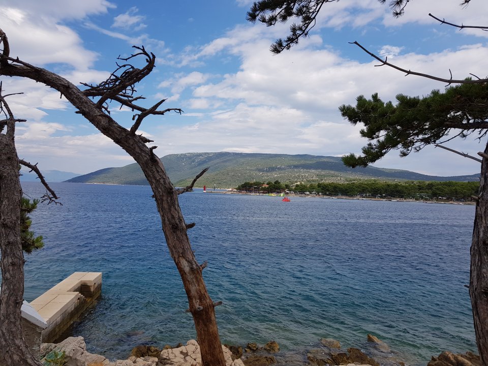 20180723_121037.jpg