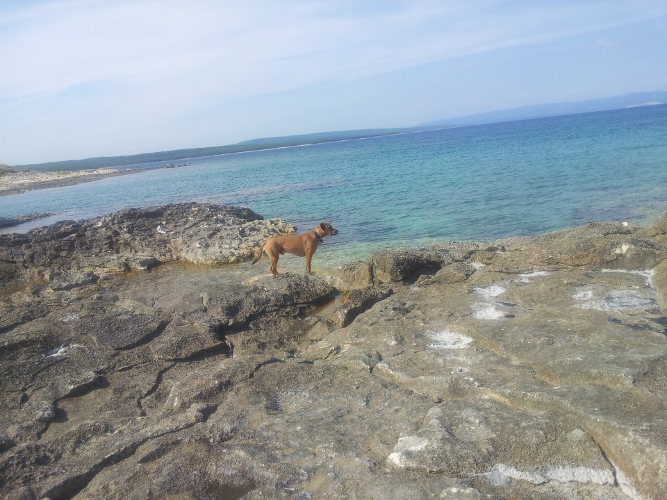 2019-06-06 16.46.44.jpg