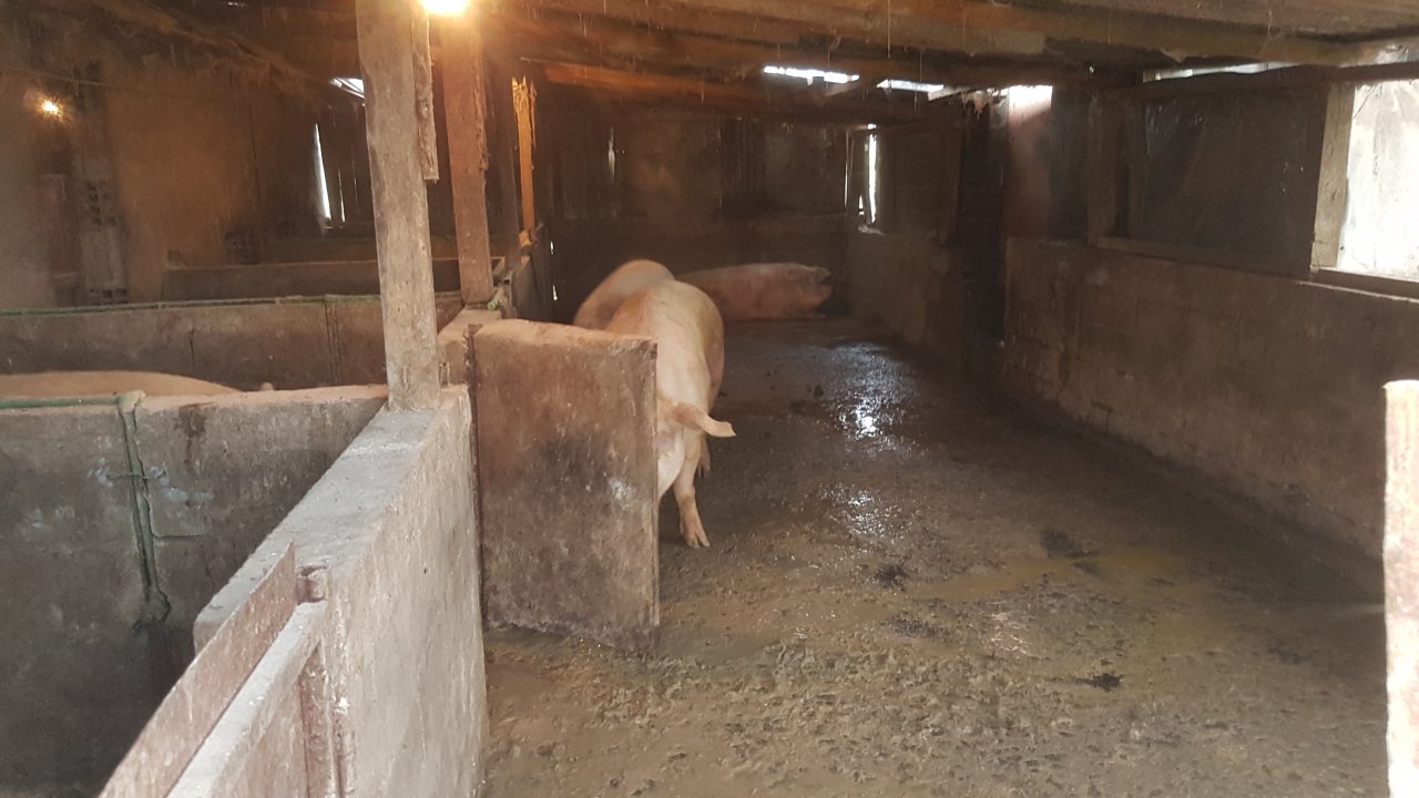 20191222_144612.jpg