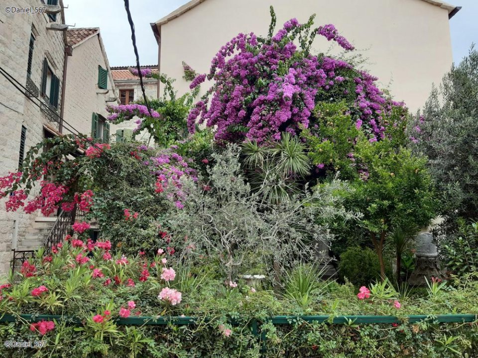 25_Split mit dem Zug.jpg