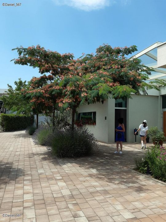 25_Stella Croatica Klis.jpg