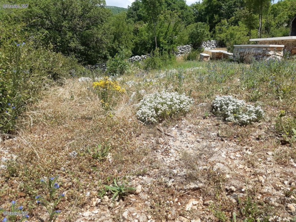 31_Rimski bunari Nisko.jpg