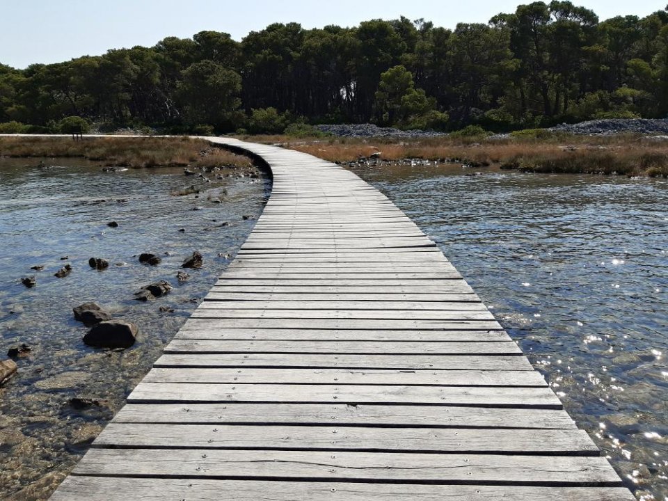 44_Sibenik Sv. Nikola.jpg