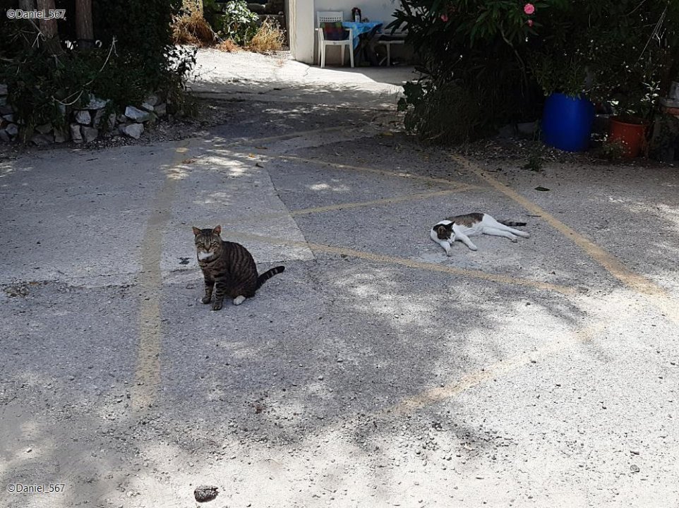 46_Schifffahrt Sibenik Zirje.jpg