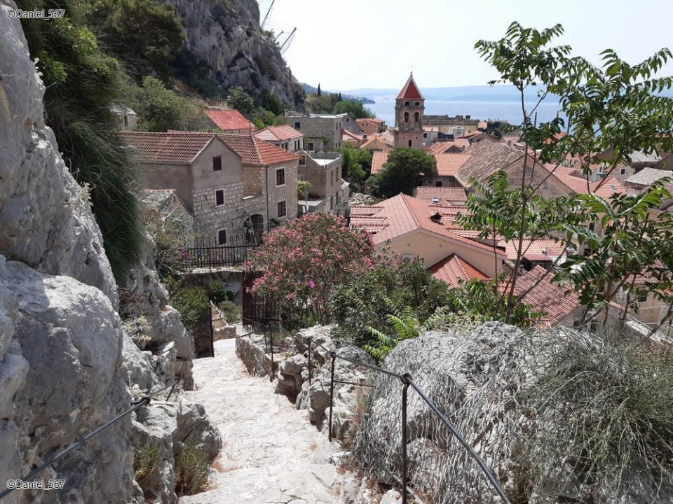49_Omis.jpg