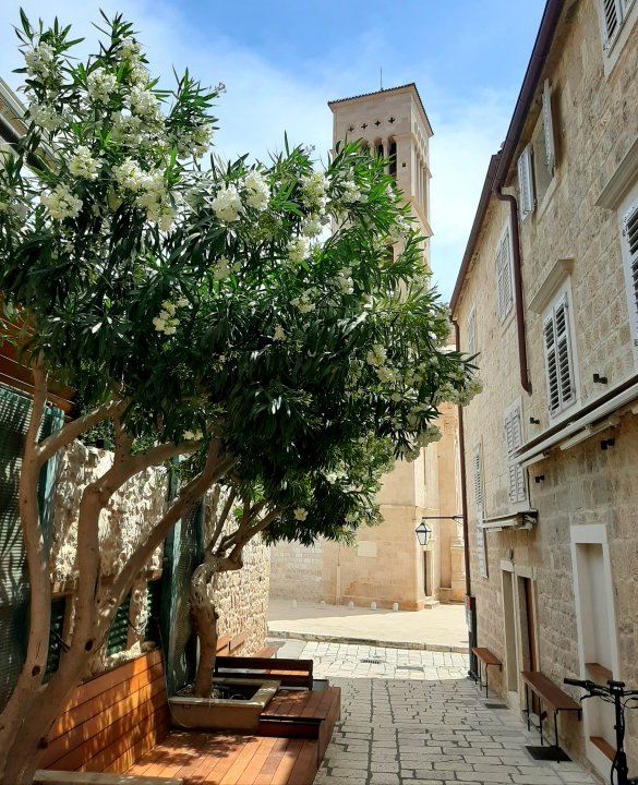 Altstadtgasse in Hvar