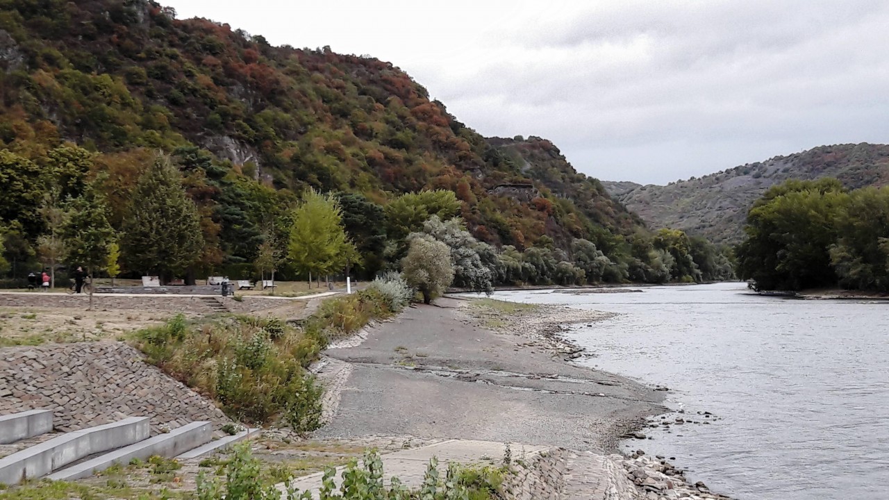 Bacharach Ufer Rhein.jpg