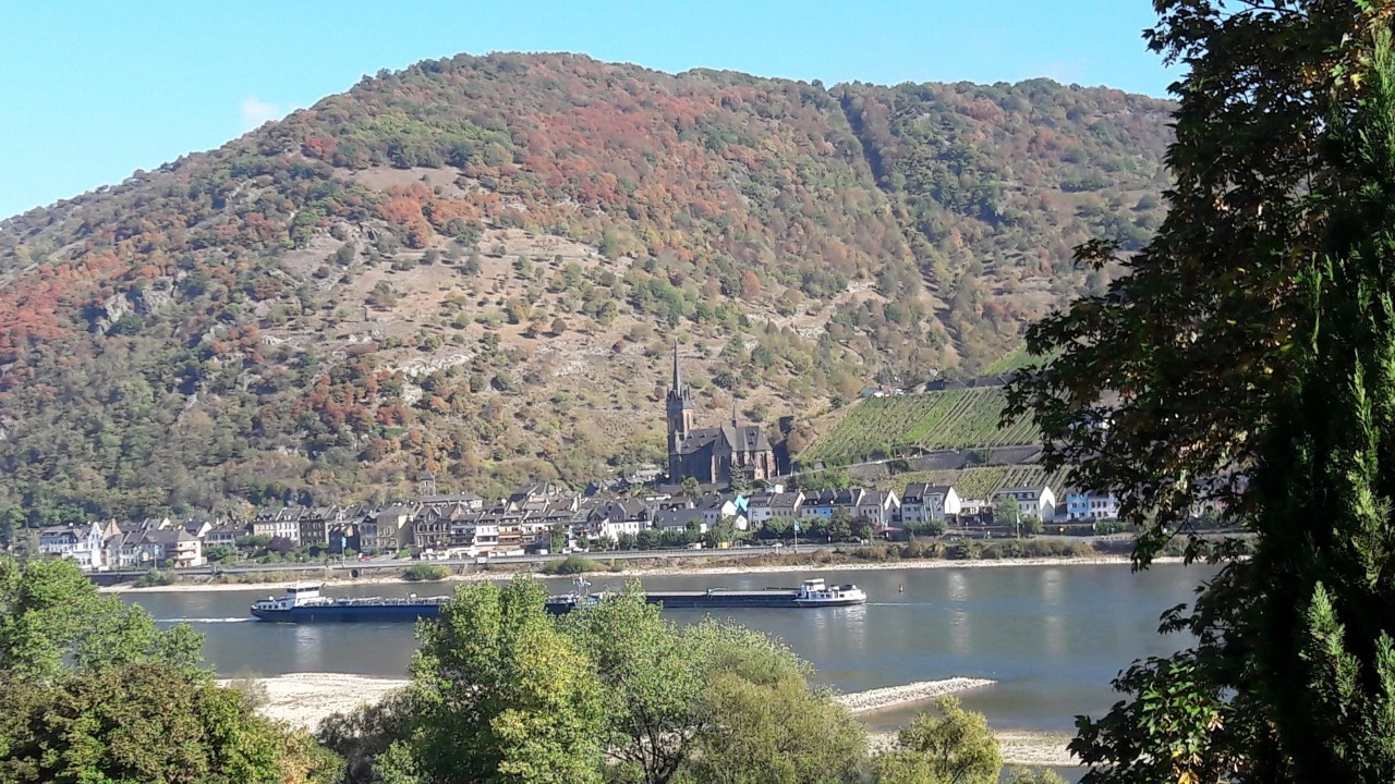 Blick nach Lorch 2.jpg