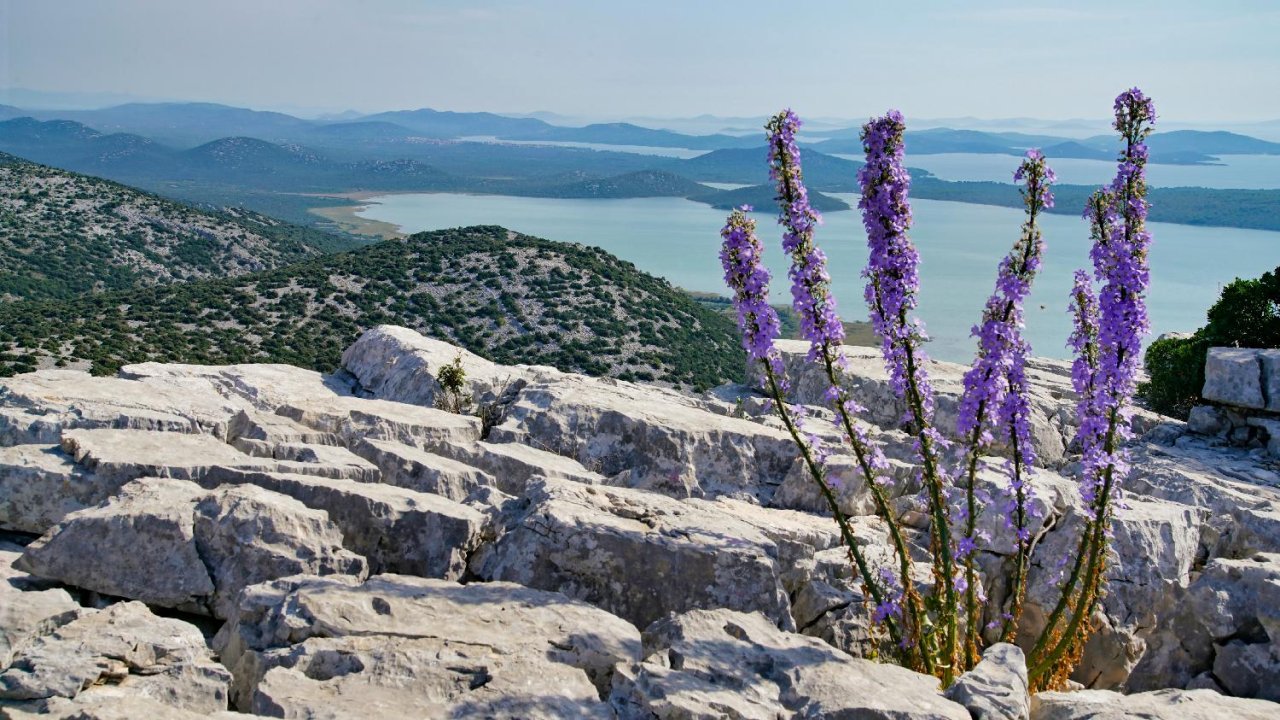 Blick vom Vidikovac Kamenjak über Vransko jezero Richtung Murter_KLEIN.jpg
