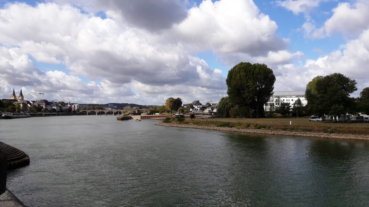 Blick zur Mosel.jpg