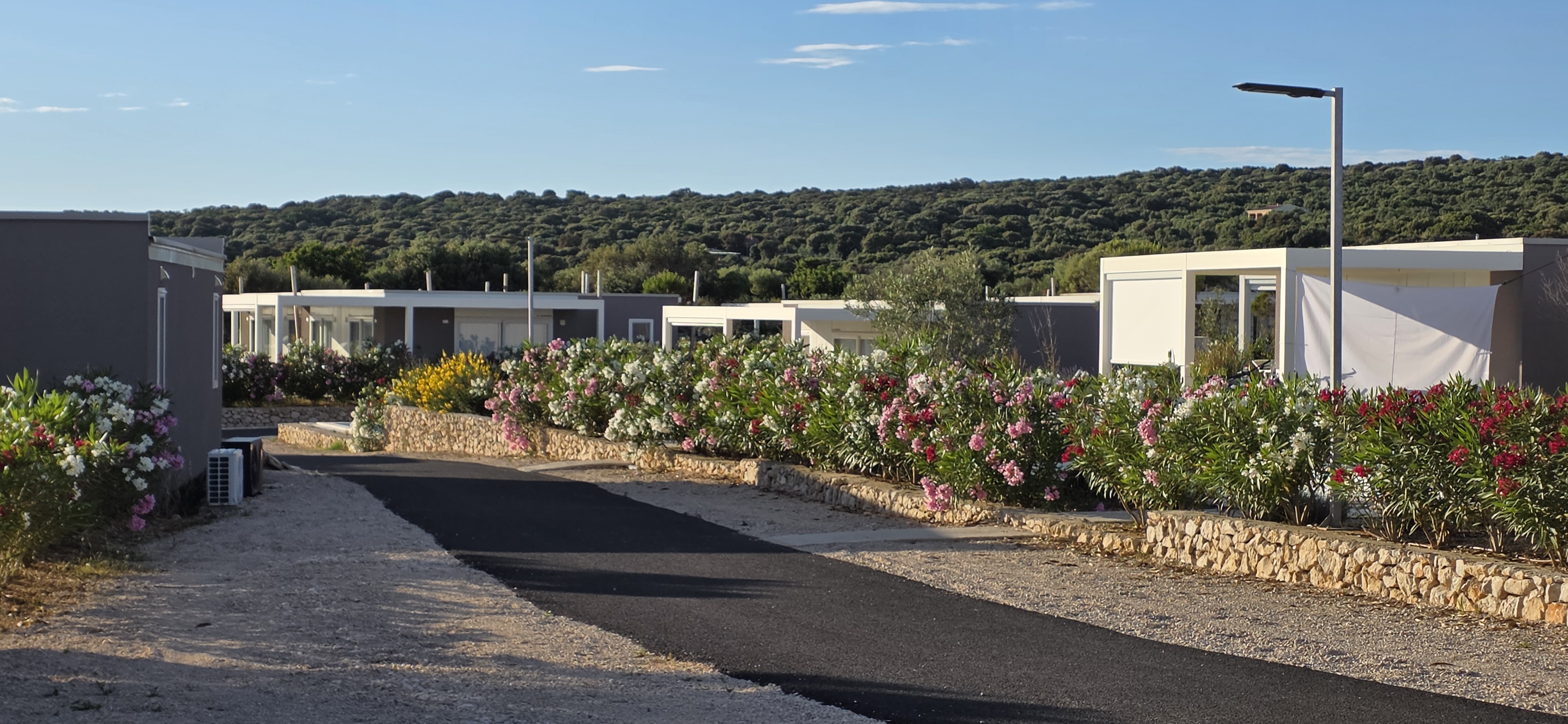 Bungalow Terra Phalaris 2