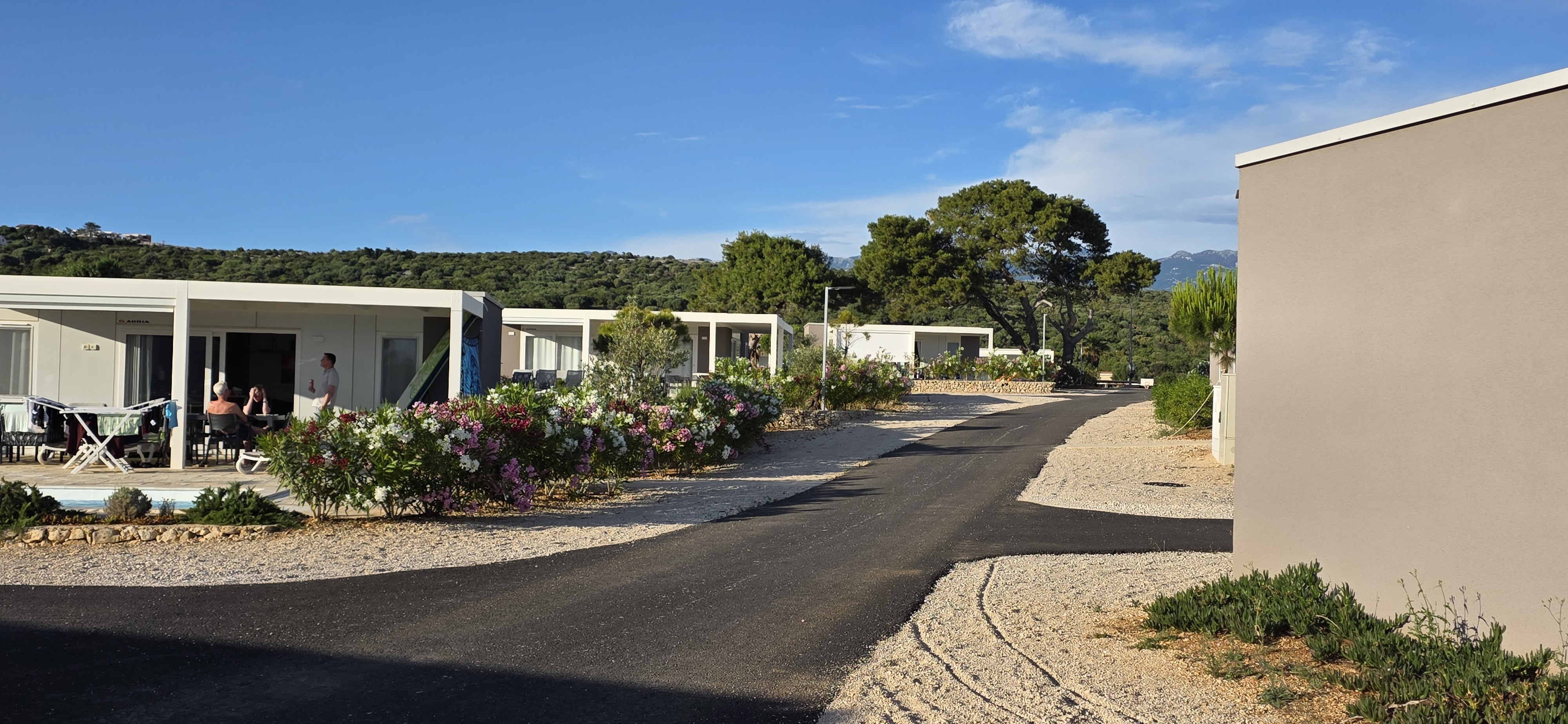 Bungalow Terra Phalaris 3