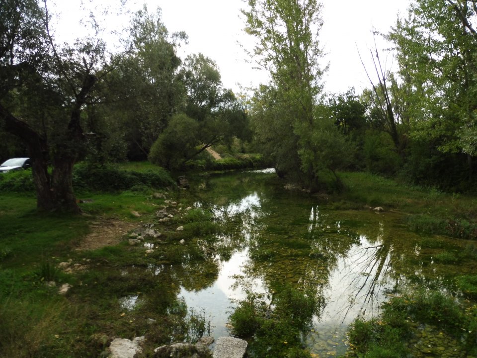 Cetina Quelle (14).JPG