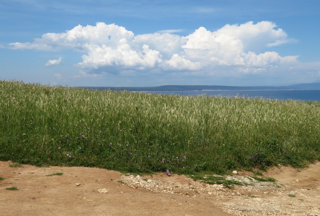 da braut sich was zusammen!