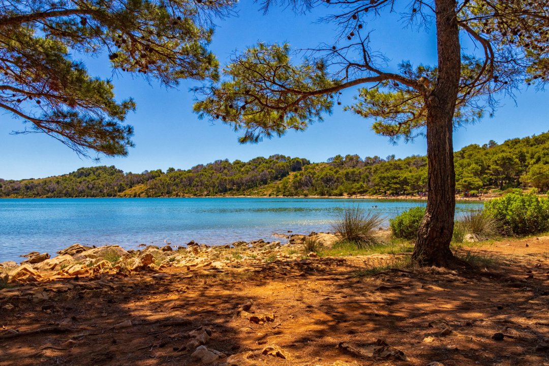 Dalmatien: DUGI OTOK > Telascica Natur Park > Jezero Mir