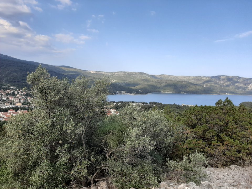 Dalmatien: INSEL HVAR > Bucht von Stari Grad