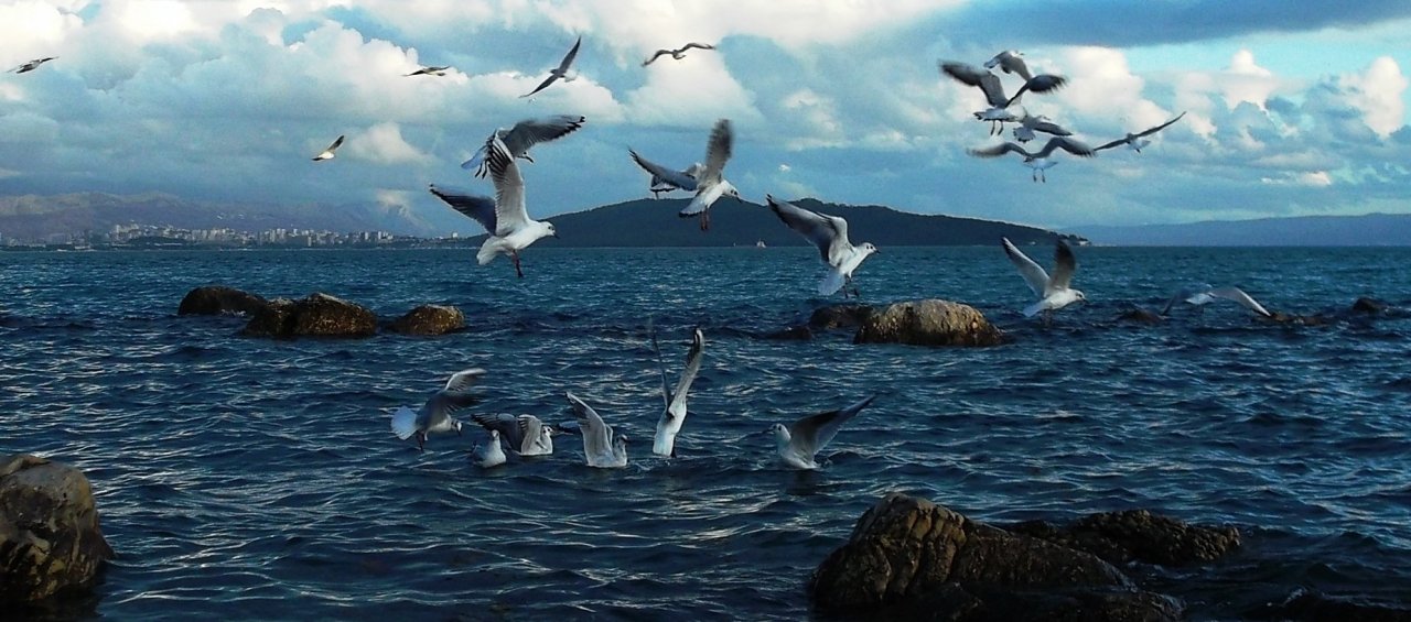 Dalmatien>Kastel Stafilic