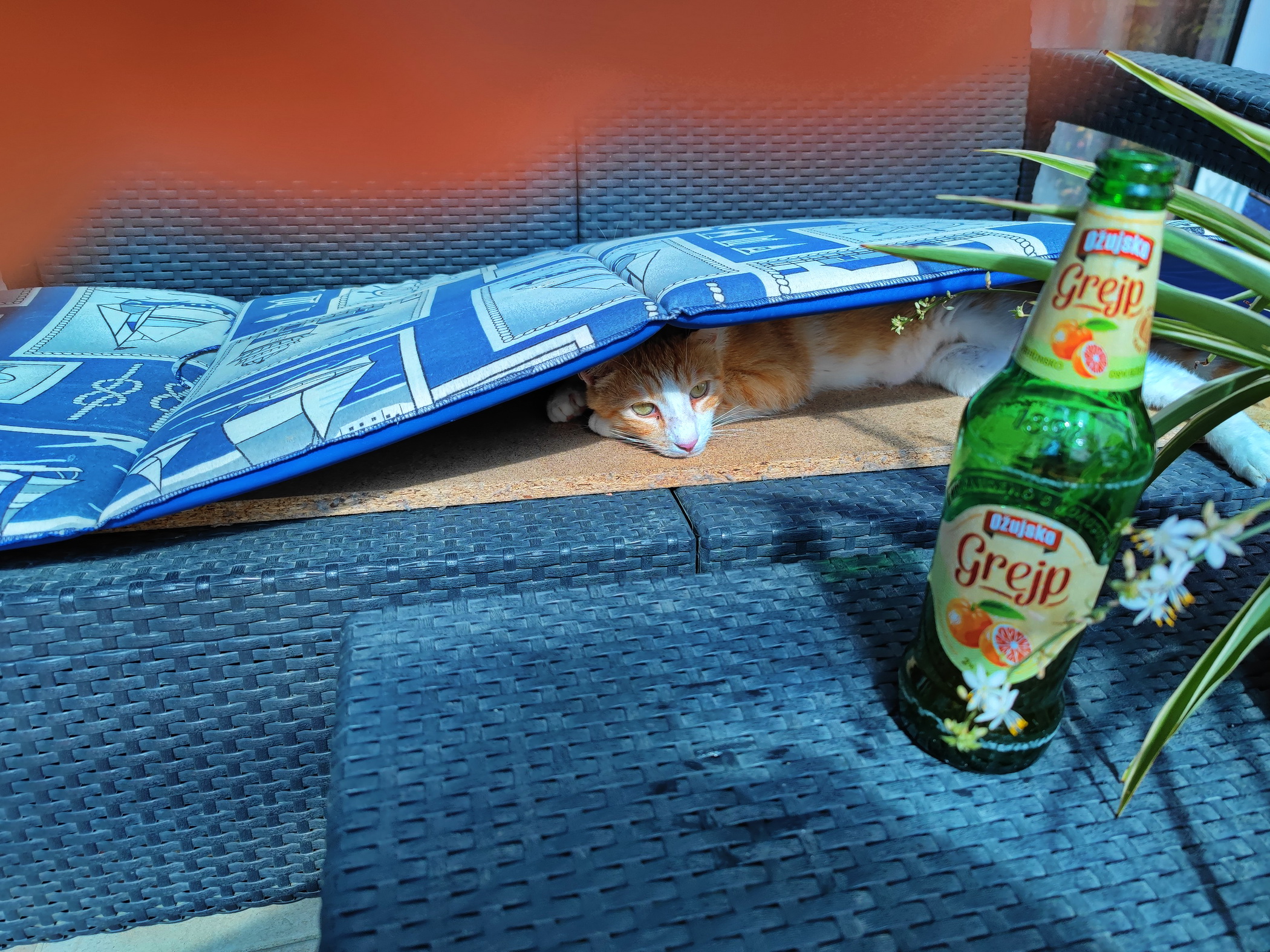 Dalmatien: KASTELA > Flasche grün