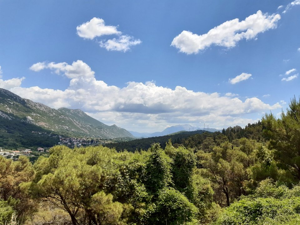 Dalmatien: LANDESINNERE > Grün.jpg