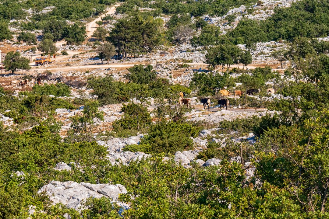 Dalmatien: MAKARSKA > Biokovo National Park
