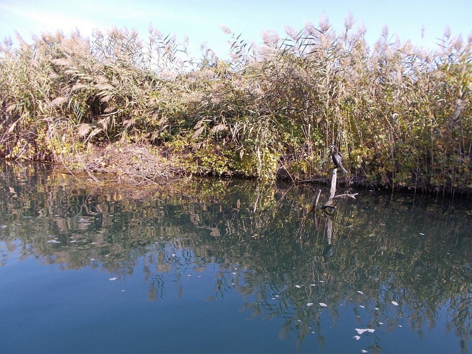 Dalmatien: Momici > auf der Neretva