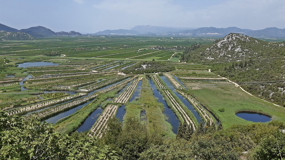 Dalmatien: NERETVADELTA > Ausblick.jpg