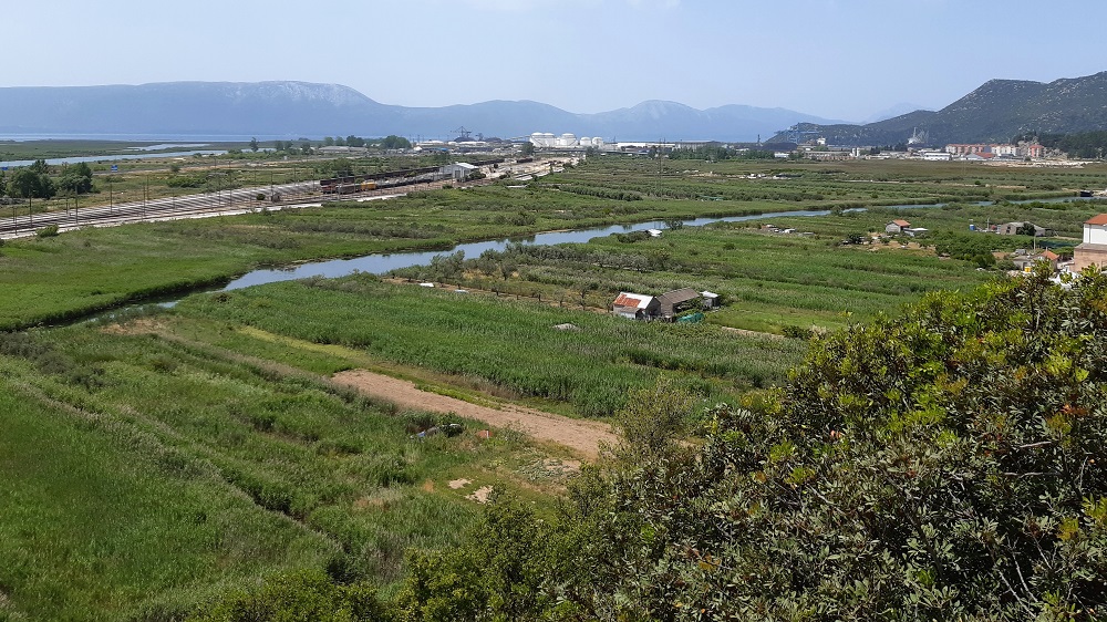 Dalmatien: NERETVADELTA > Plantage 1.jpg