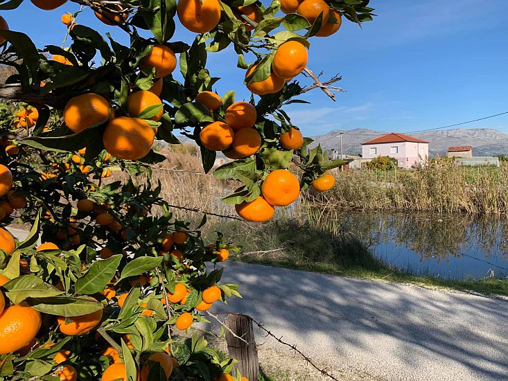 Dalmatien: Opuzen > Buk Vlaka > an der Neretva