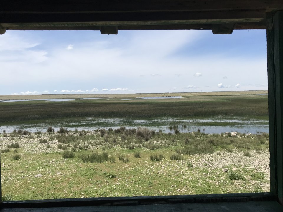 Dalmatien: PAG> Blato Jezero