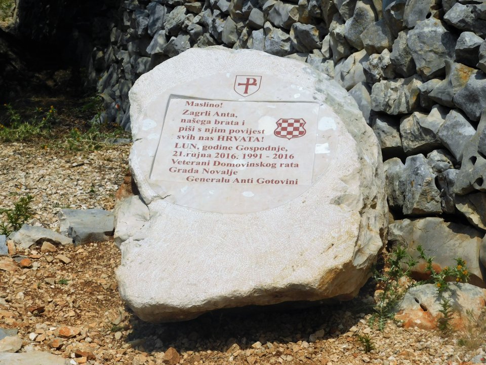 Dalmatien: Pag> Lun> Olivenhain