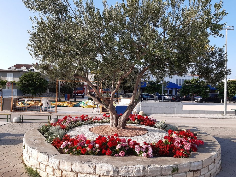 Dalmatien: PIROVAC >Mediterranes Flair 1.jpg