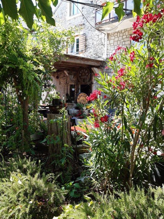 Dalmatien: PIROVAC > Mediterranes Flair 2.jpg