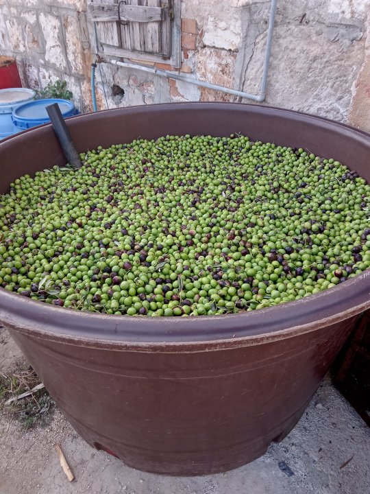 Dalmatien - POSTIRA - Landwirtschaft