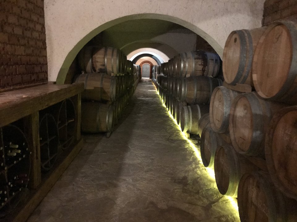 Dalmatien: POTOMJE< Weingut Matusko