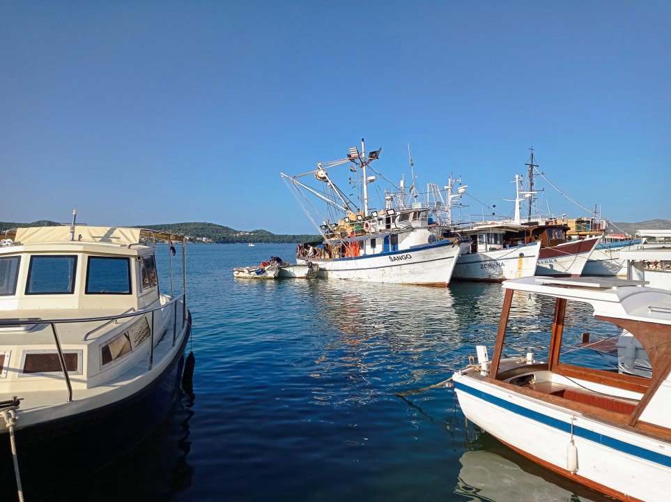 Dalmatien: Seget Donji> Fischer