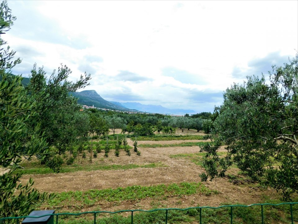 Dalmatien: Split> Kastela> Gemüsegarten