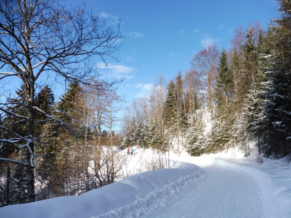 Drehhütte 1 (12).JPG