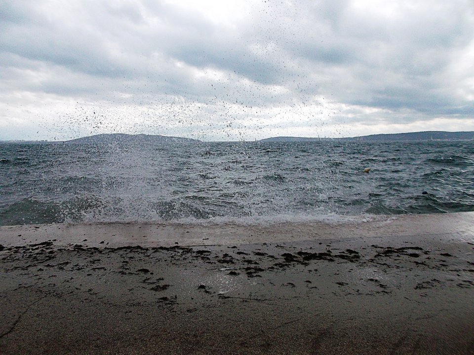DSCF0443.JPG