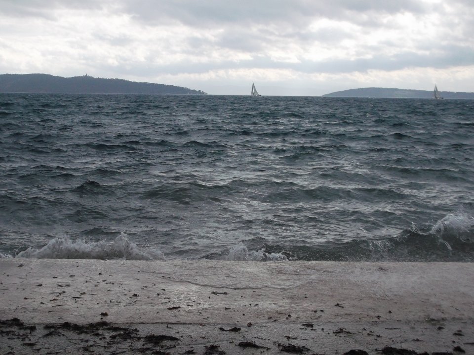 DSCF0454.JPG