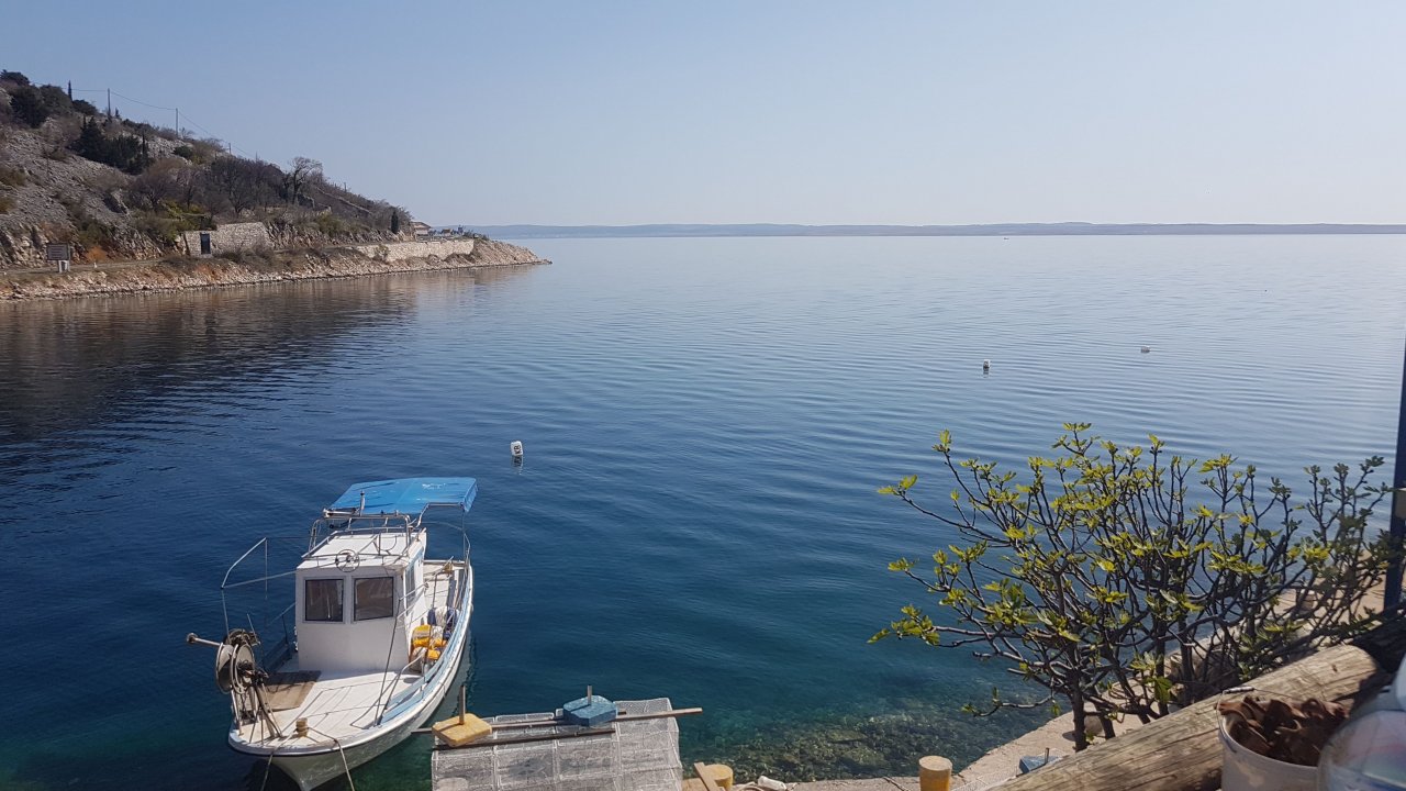IMG-20190325-WA0005.jpeg