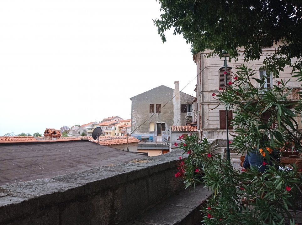 IMG_20210920_134406.jpg