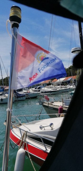 IMG_20220606_124230.jpg