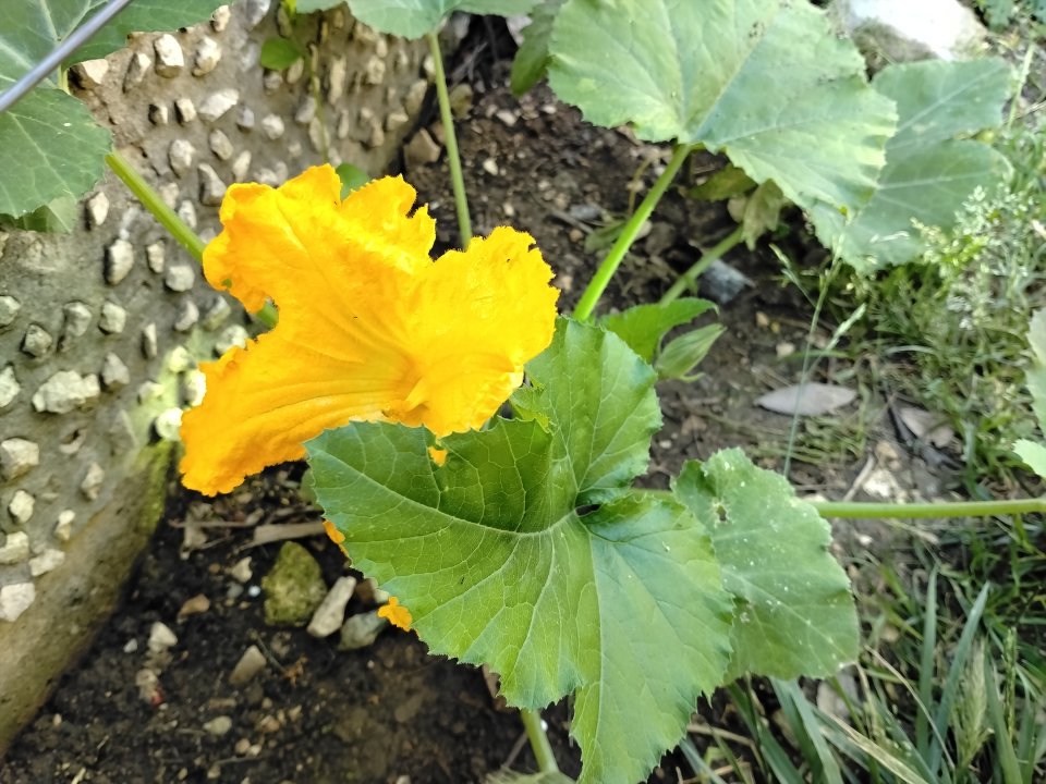 IMG_20260523_080810.jpg