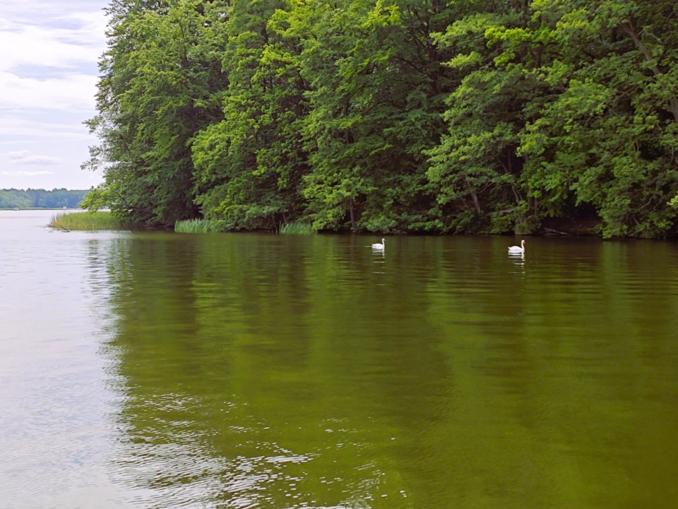 IMG_20260617_110003.jpg