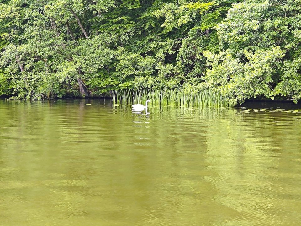 IMG_20260617_110047.jpg