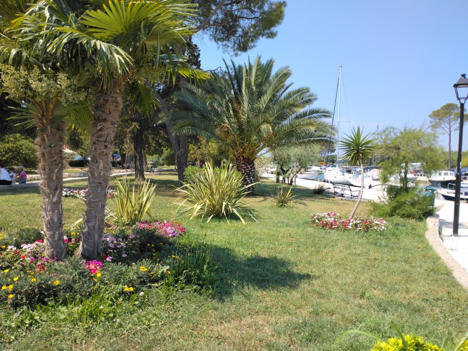 IMG_20260629_112011.jpg