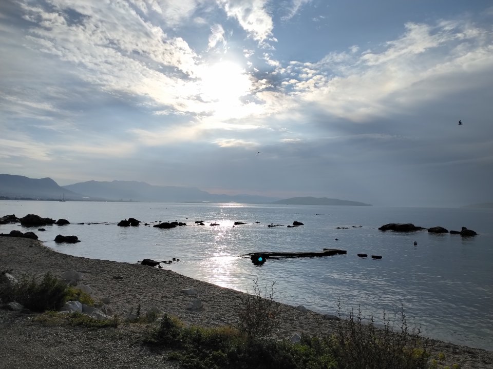 IMG_20260919_082253.jpg