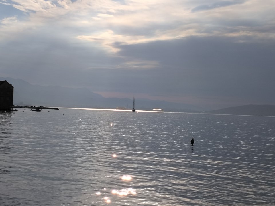 IMG_20260919_082958.jpg